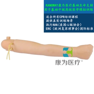 “康为医疗”高级手臂血压测量模型(与心肺复苏模型配套使用）