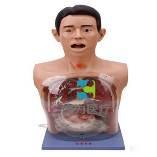 来宾“康为医疗”带警示透明洗胃模型(电子报警）
