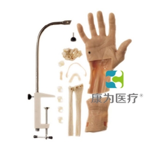“康为医疗”腕关节镜检查模型,腕关节镜检查操作模型 Wrist Arthroscopy Model
