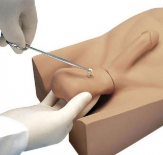 来宾“康为医疗”新型输精管切除术（NSV）训练操作模型