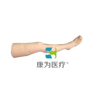 “康为医疗”针灸腿部训练模型