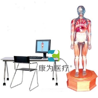 来宾“康为医疗”多媒体解剖学教学综合模拟示教人